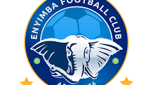 Enyimba to comply with CAF sanction, host Rahimo
