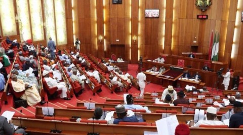 Insecurity: Southern Senators Hail Ban of Open Grazing