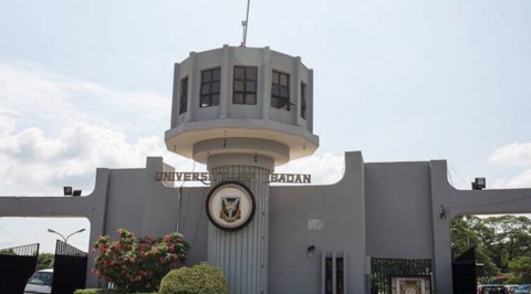 SSANU, NASU Paralyze Activities at the University of Ibadan