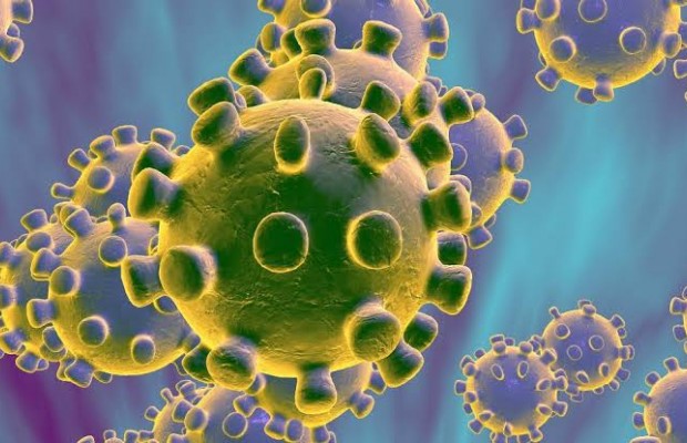 Coronavirus Claims 97 Lives in One Day