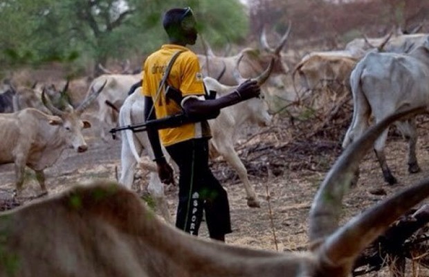 One Dies, Cows Killed After Herdsmen, Ogun Residents Clash