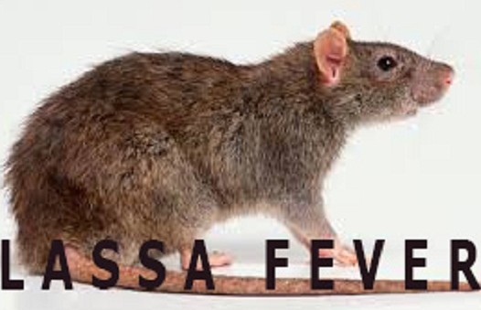 Bayelsa Government Confirms Suspected Case of Lassa Fever.